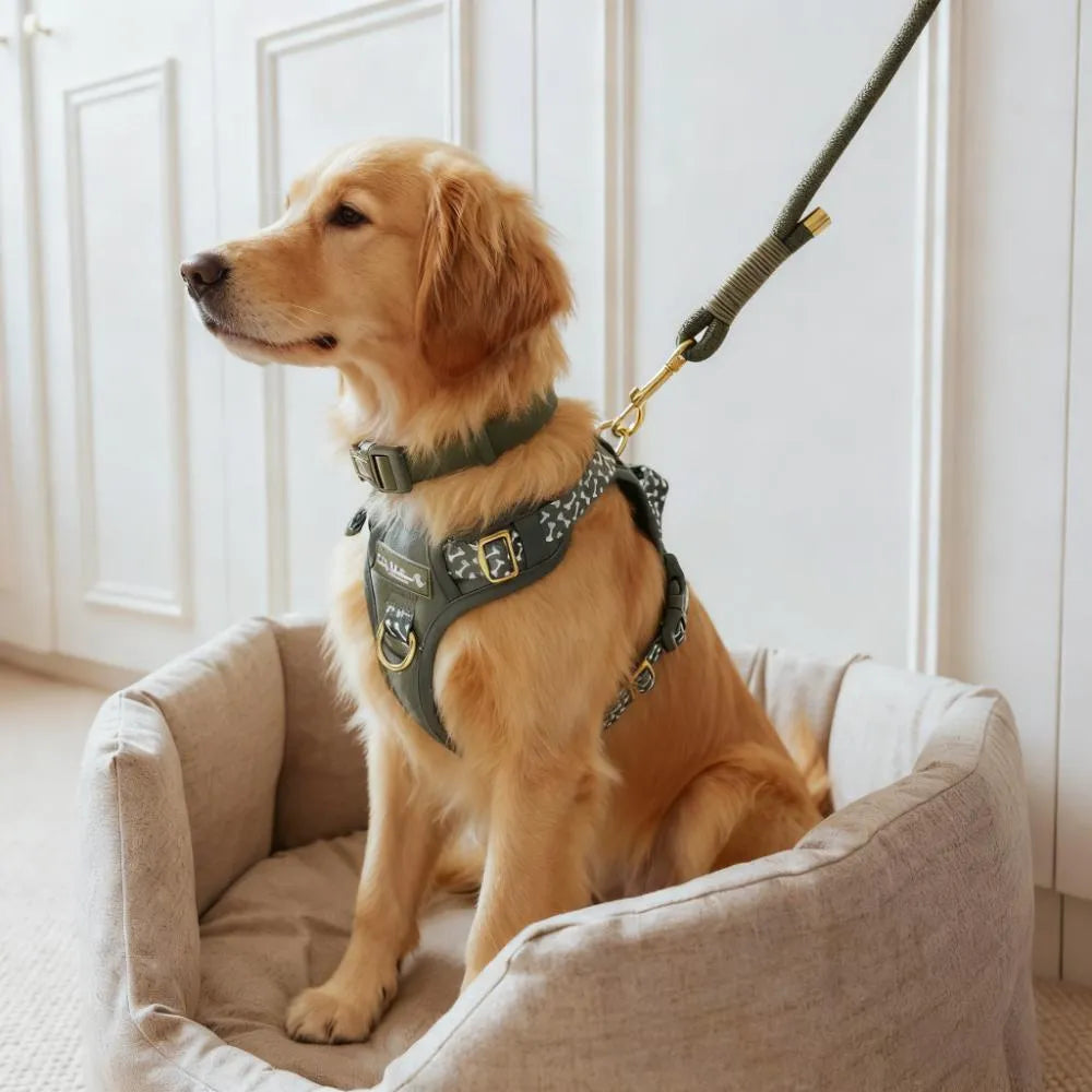 Non-Pull Dog Harness