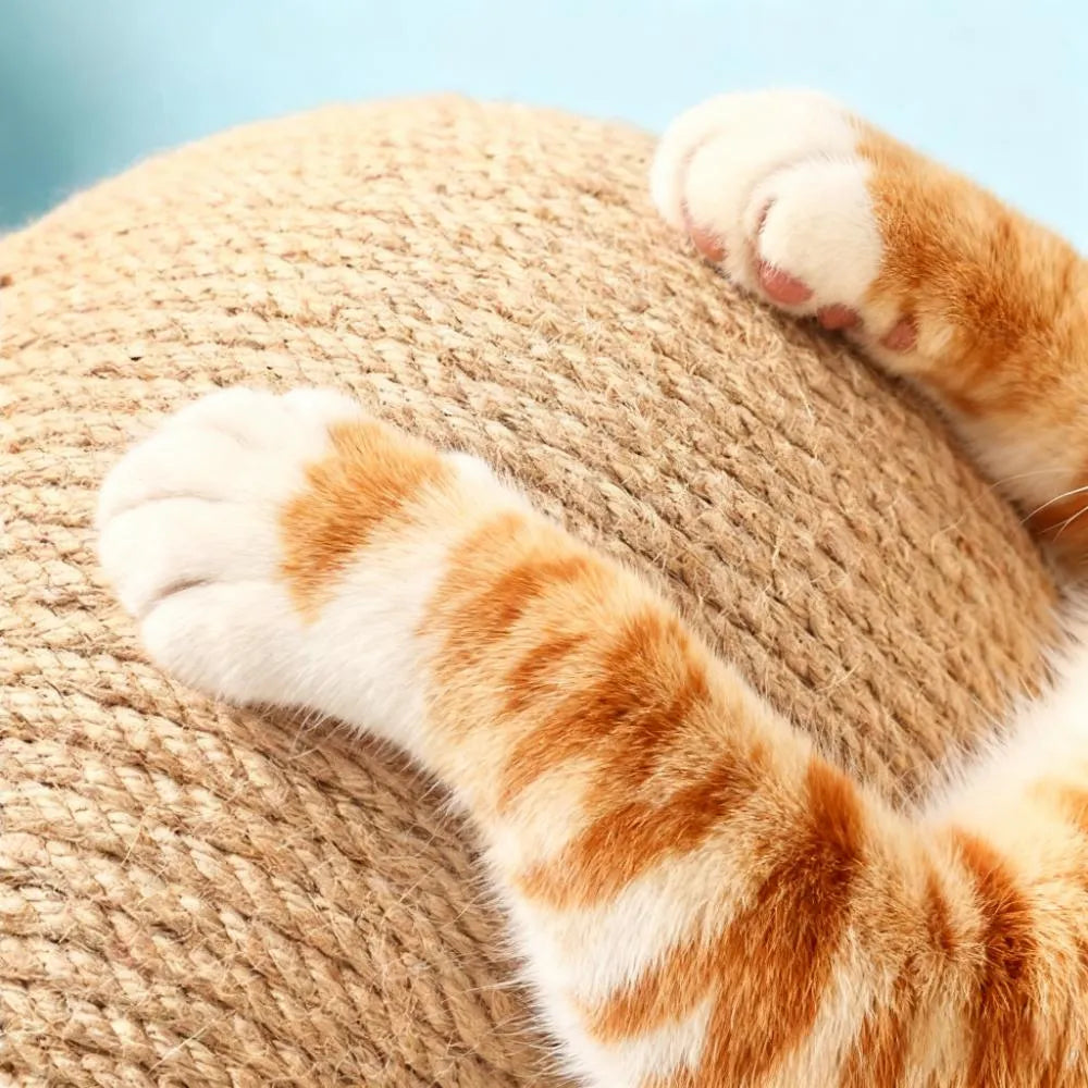 Ball-Shape Scratching Toy for Cats