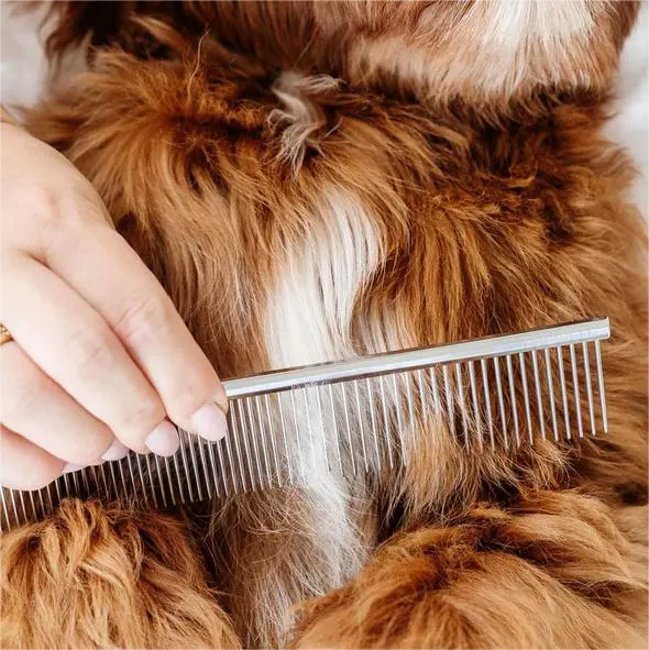 Everyday Dog Comb - 7-Inch, Stainless Steel
