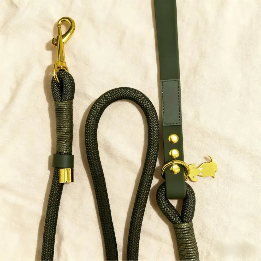 Non-Pull Dog Harness