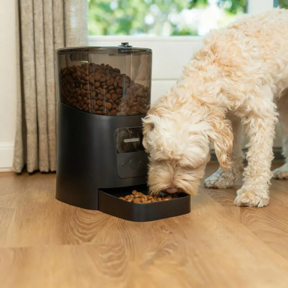 Automatic Feeder for Cats and Dogs