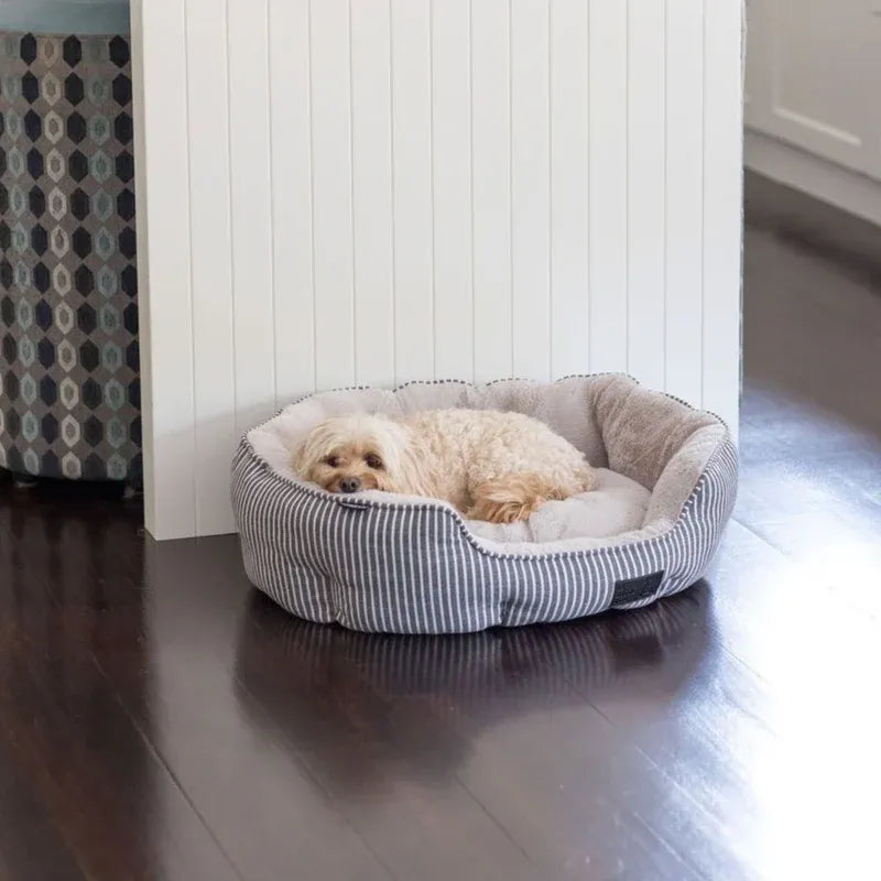 Shell Bed (Hamptons Stripe Style)
