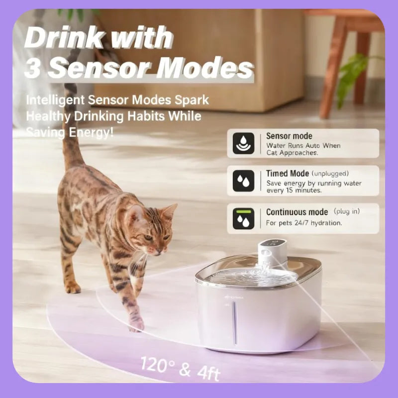 Ends Today: 59% OFF+Free Gifts !Thermostatic Auto-Fountain, 4L Cordless