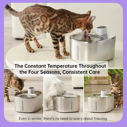 Ends Today: 59% OFF+Free Gifts !Thermostatic Auto-Fountain, 4L Cordless
