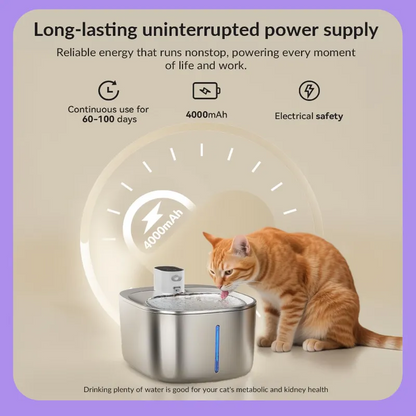 Ends Today: 59% OFF+Free Gifts !Thermostatic Auto-Fountain, 4L Cordless