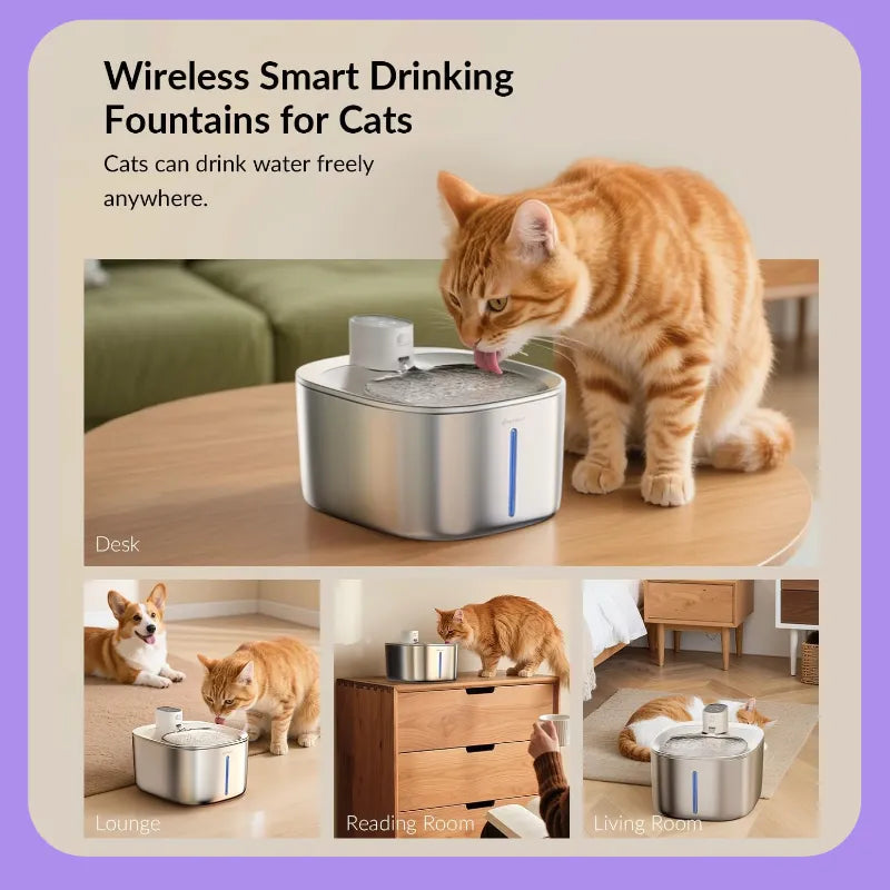 Ends Today: 59% OFF+Free Gifts !Thermostatic Auto-Fountain, 4L Cordless