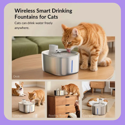 Ends Today: 59% OFF+Free Gifts !Thermostatic Auto-Fountain, 4L Cordless